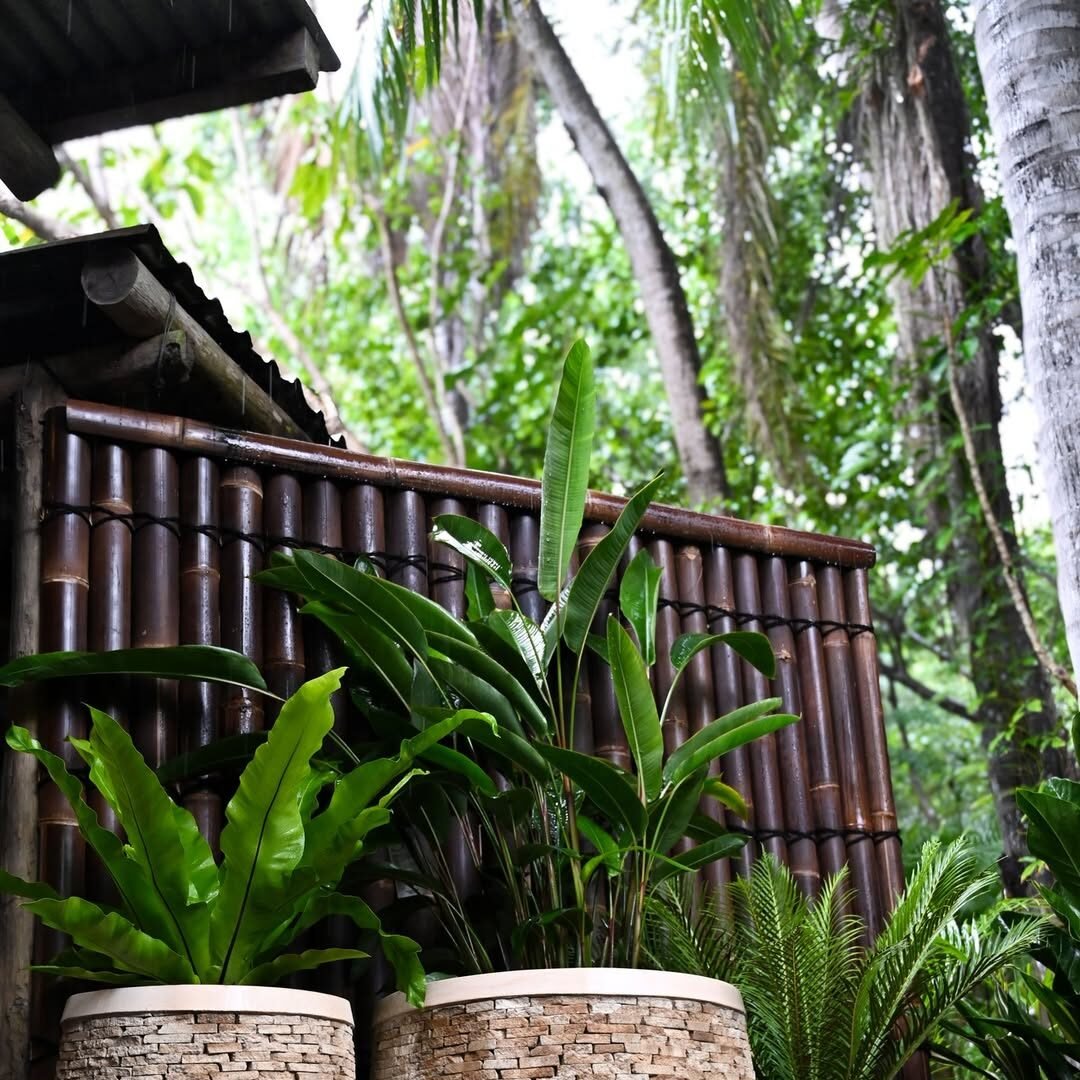 Small Tropical Garden Bamboo Elements