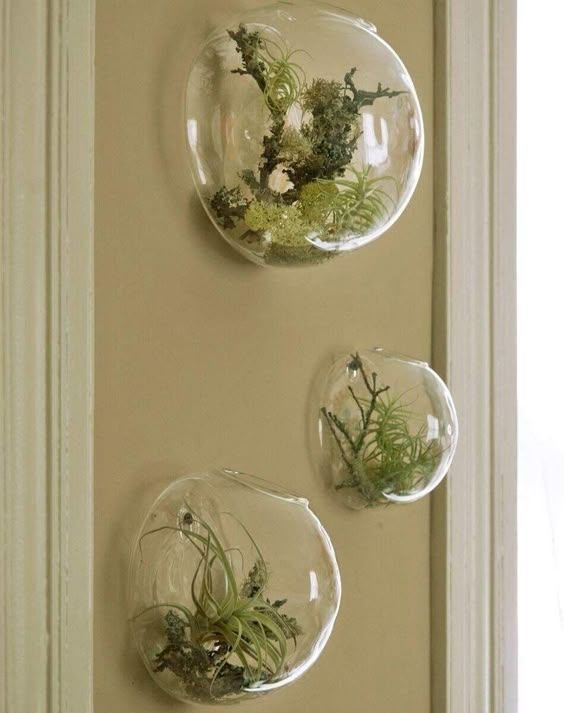 Peace Lily The Elegant Air Purifier