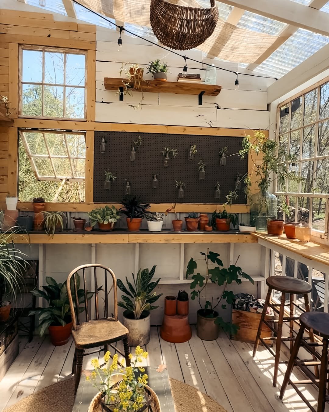 potting shed interior Natural Lighting plants thrive