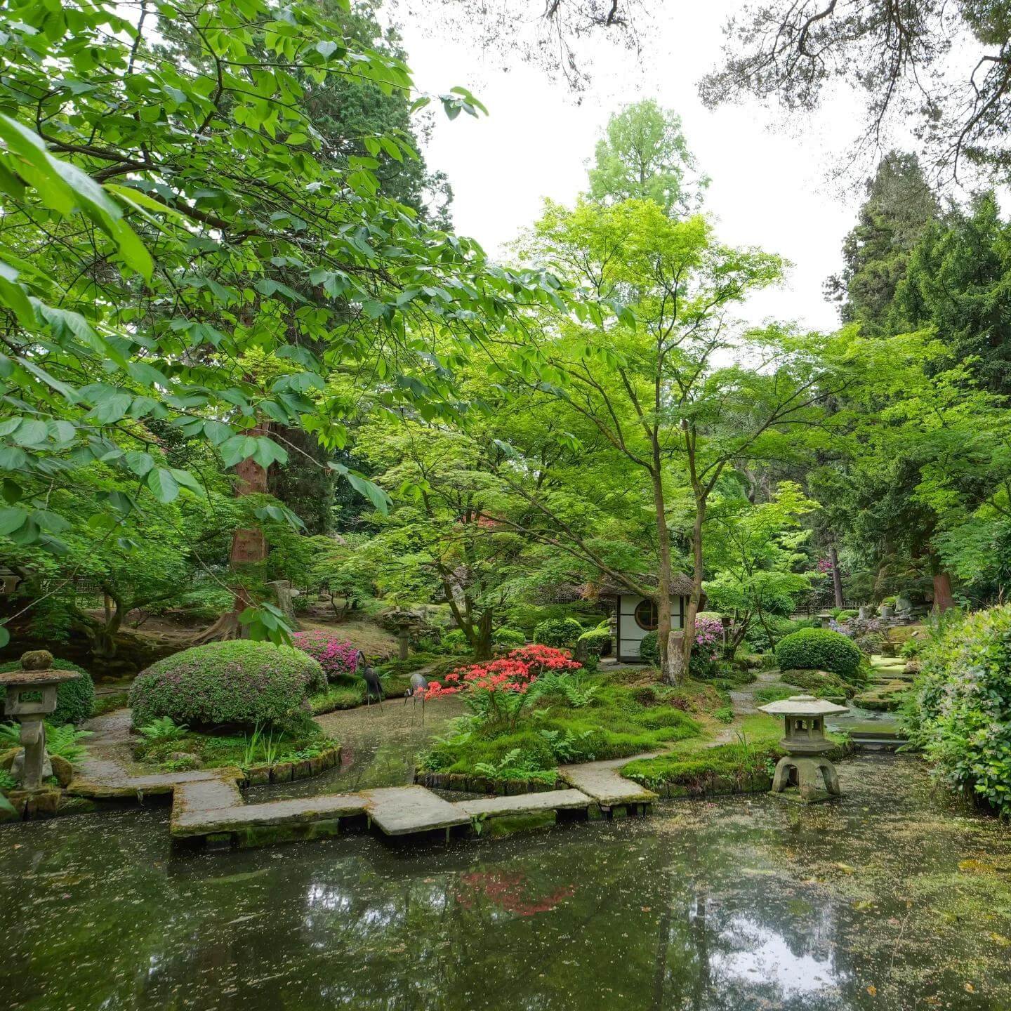 Pond-Centered Garden for Japanese Garden Design