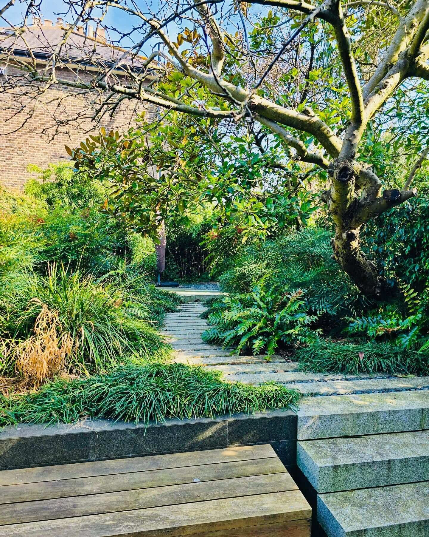 Modernity and Nature with Japanese Garden Design