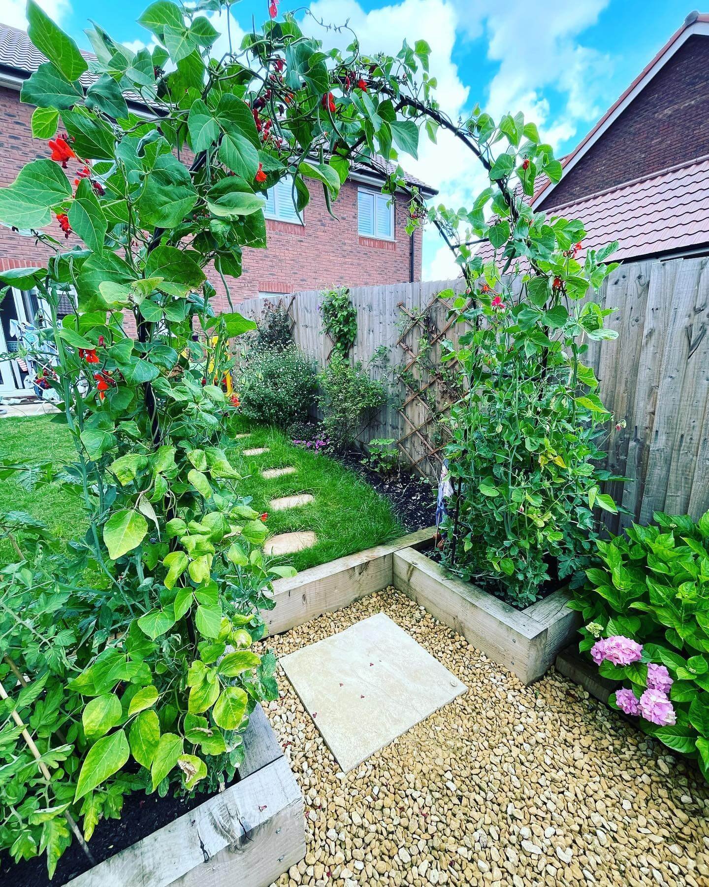 Edible Elegance with Stunning Garden Arch Trellis 