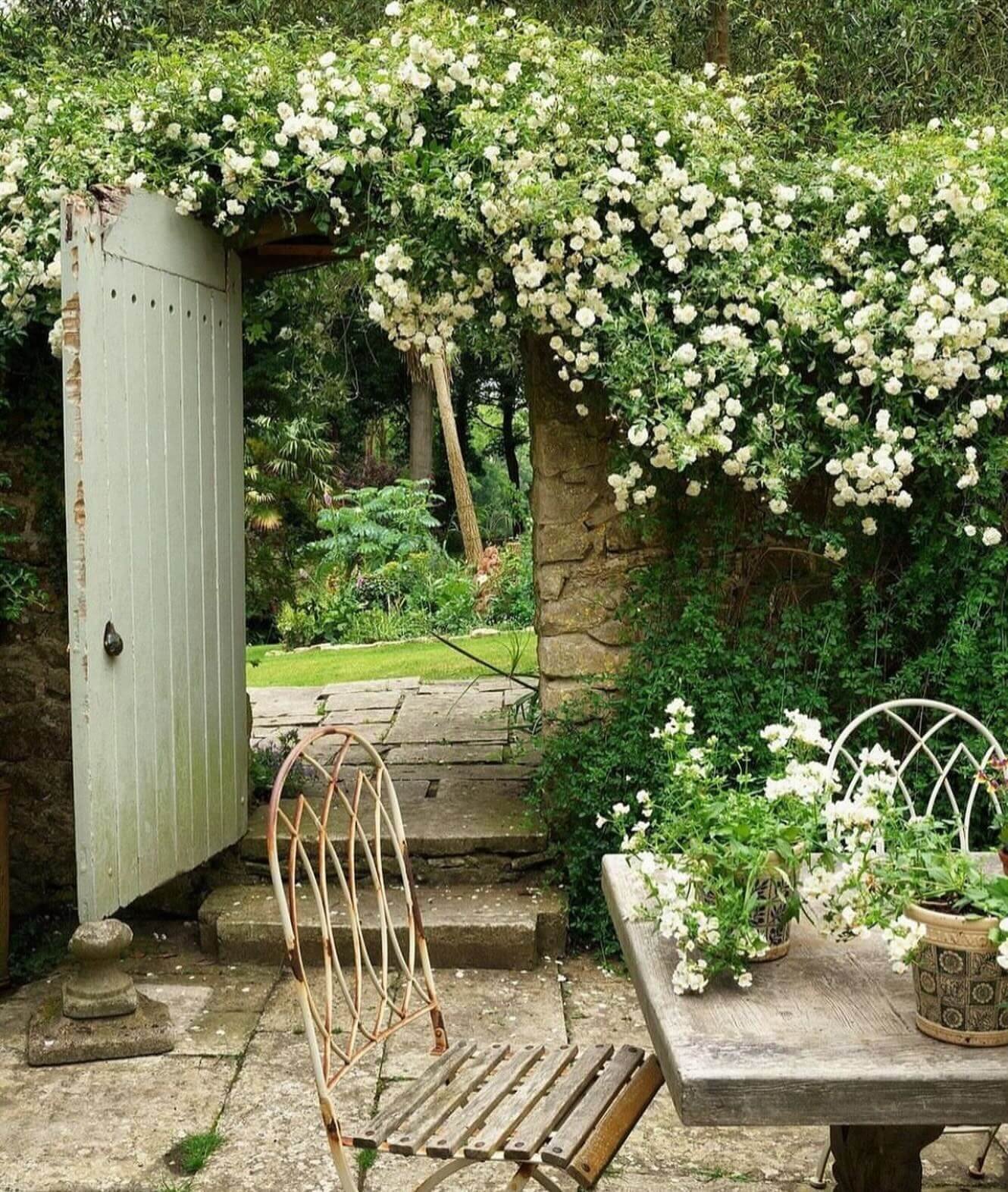 Vintage Roses Stunning Garden Arch Trellis 