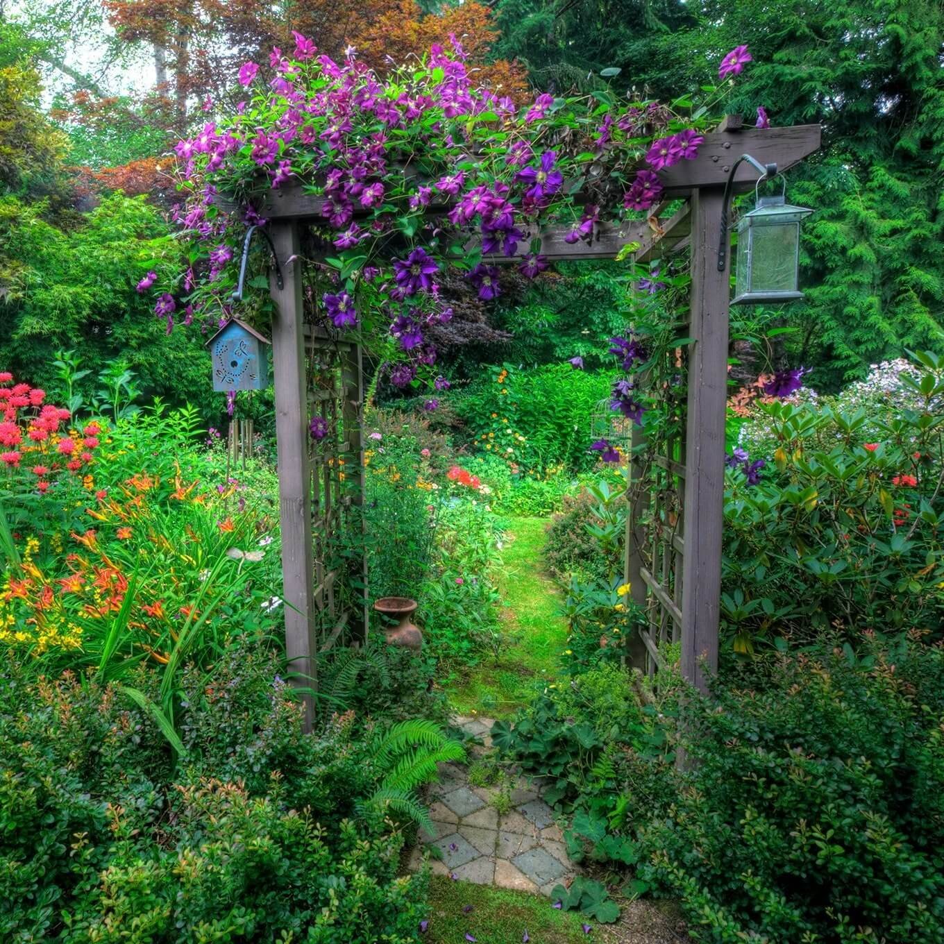 Romantic Cottage for Stunning Garden Arch Trellis 