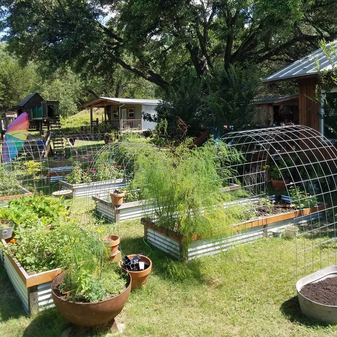 Raised Beds in Stunning Garden Arch Trellis 