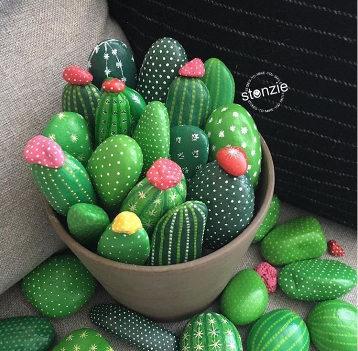 Painted Rock Garden Cactus Collection