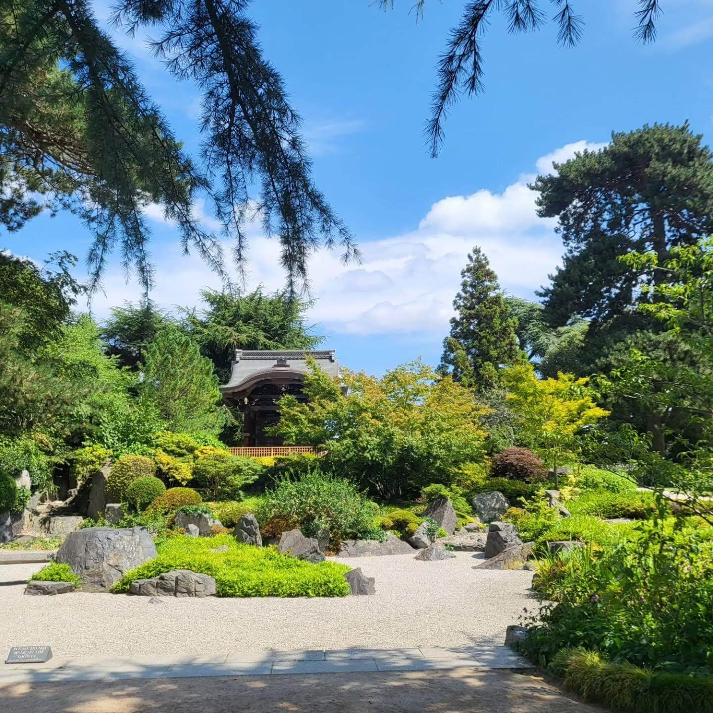 Serene Karesansui Zen Rock for Japanese Garden Design