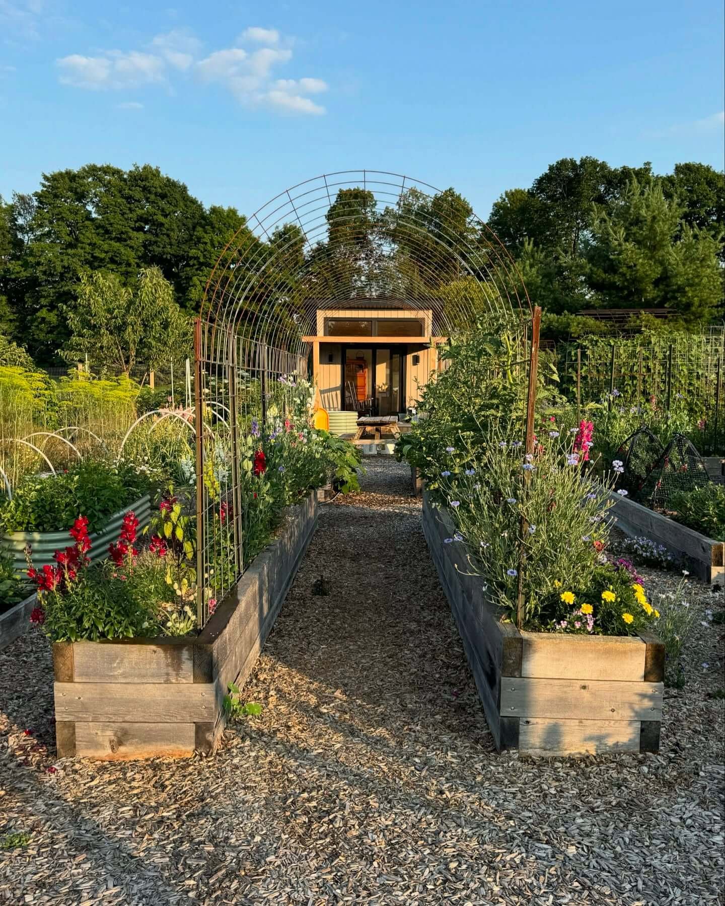 Functional Beauty with Stunning Garden Arch Trellis 