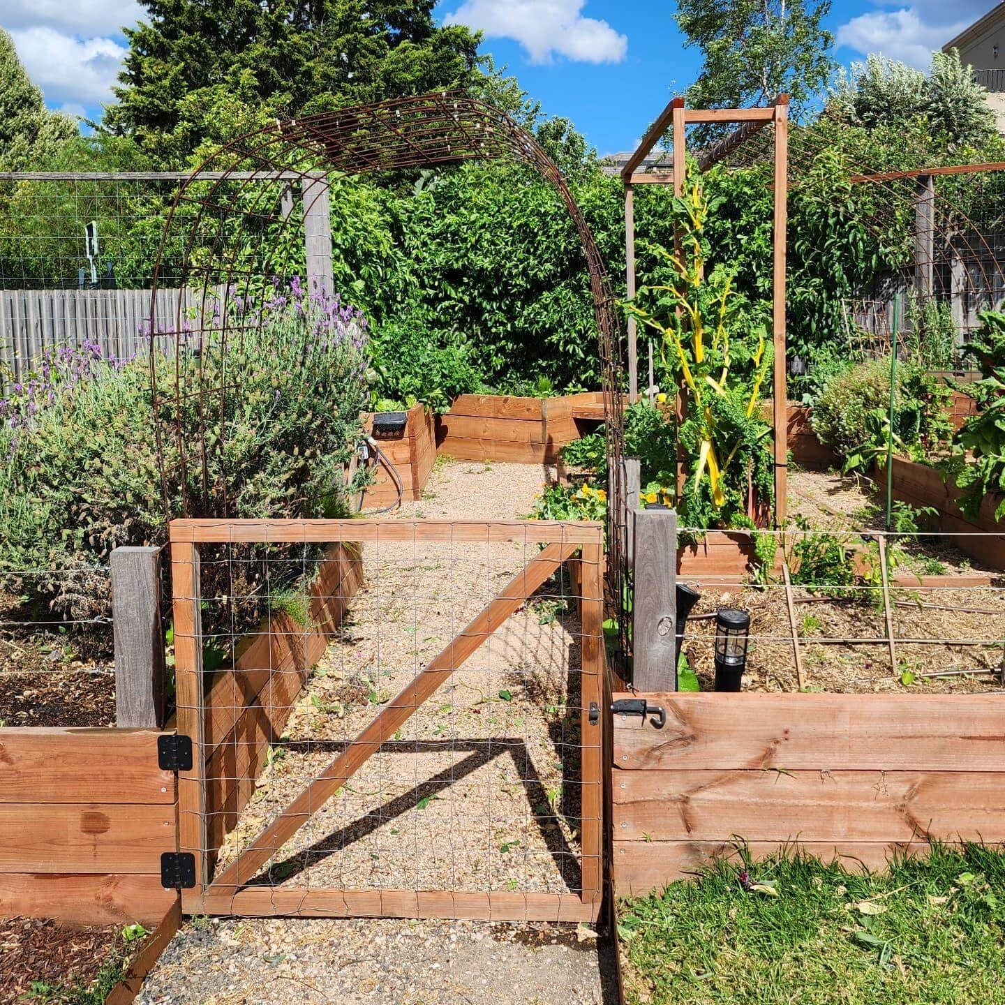 Home Vegetable Patch Stunning Garden Arch Trellis 