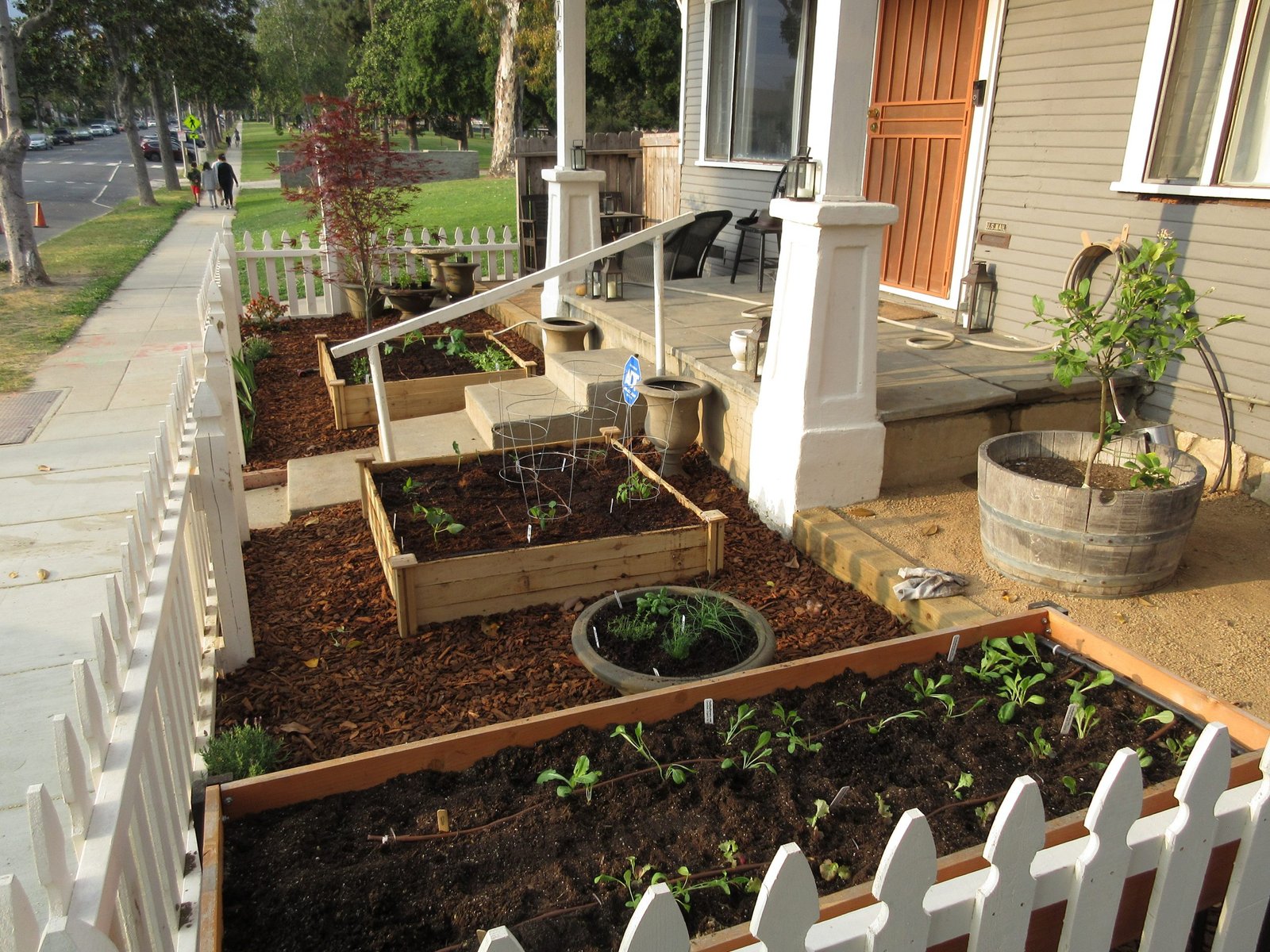 Tiny Front Garden Structured Elegance with Box Planters