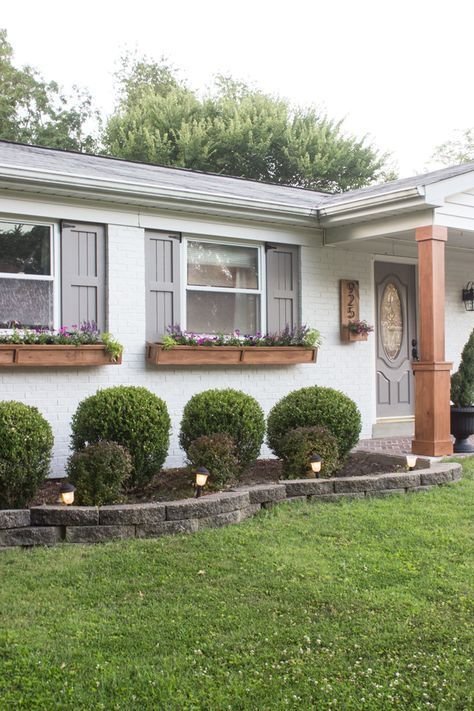 Outdoor Landscaping Lush Green Borders