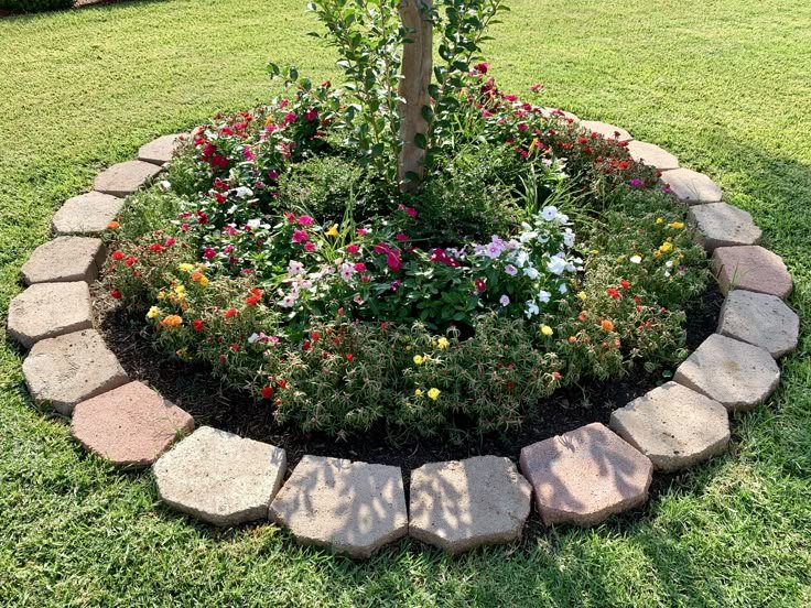 Round Flower Beds Circular Garden Beneath a Tree