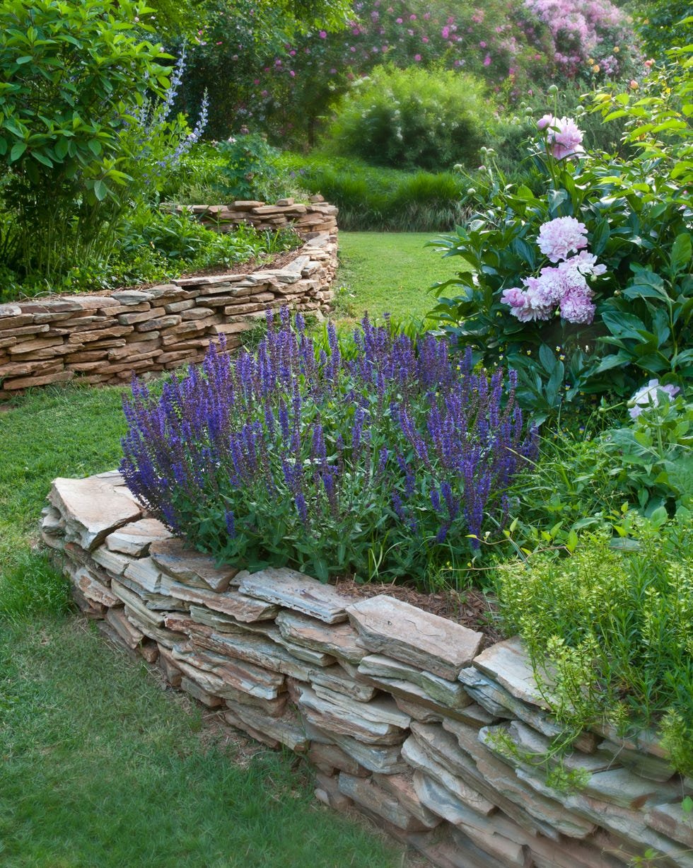 Flower Bed Border Lush Green Grass Edging