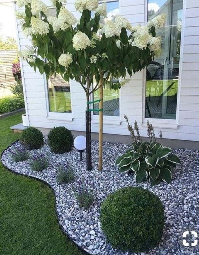 Tiny Front Yard Landscaping Under-Tree Blooms