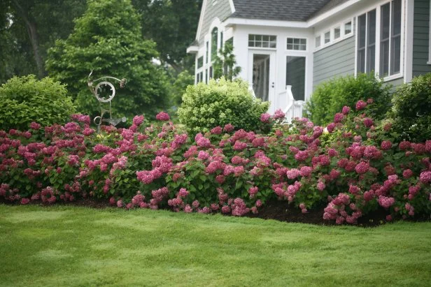 Tiny Front Yard Landscaping
