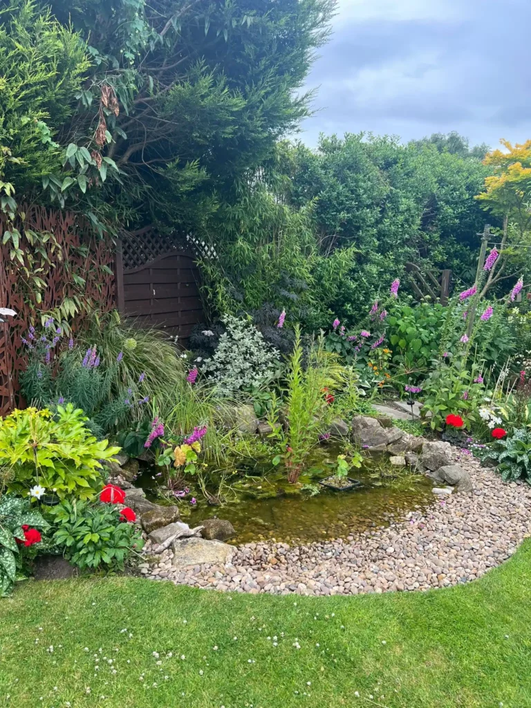 Eco-Friendly Front Garden Curvy Garden Beds: Embrace Nature’s Flow