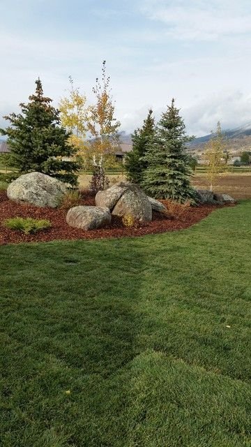 Large Front Yard Landscaping Vertical Greenery