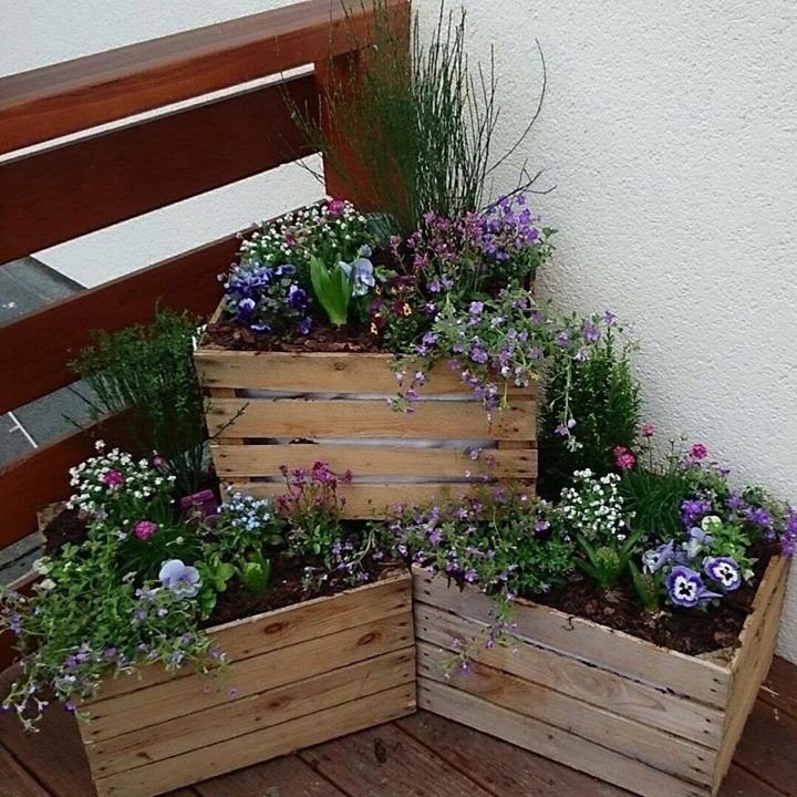 Corner Container Garden Ideas That Will