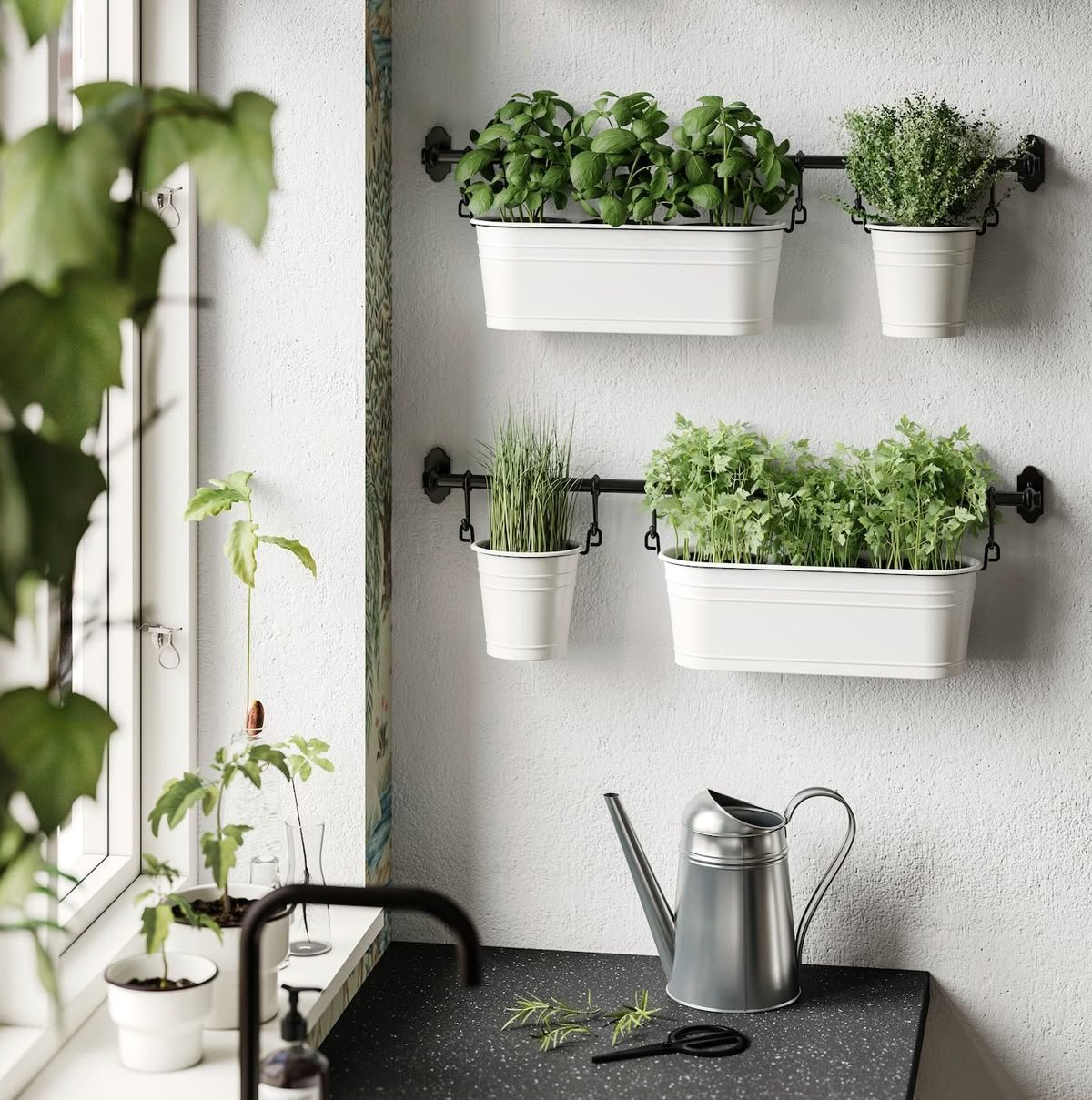 Kitchen Herb Garden