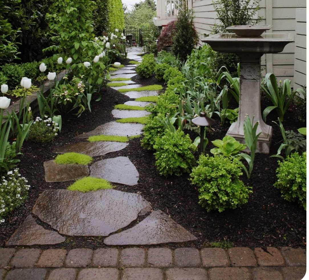 Small Side Yard Landscaping Ideas