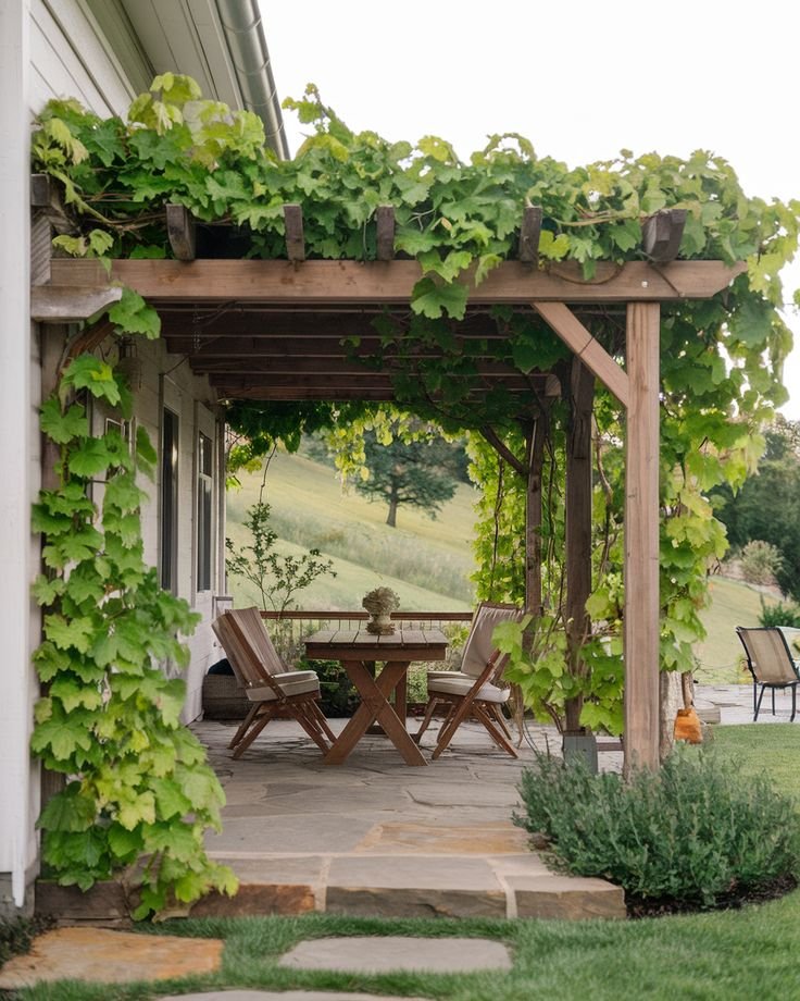 Pergola Ideas on a Budget