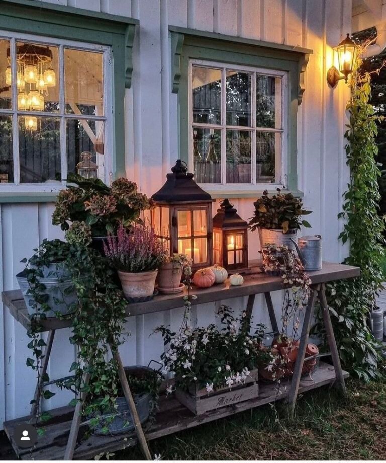 Small Country Garden