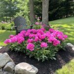 Full Sun Front Yard Landscaping Ideas