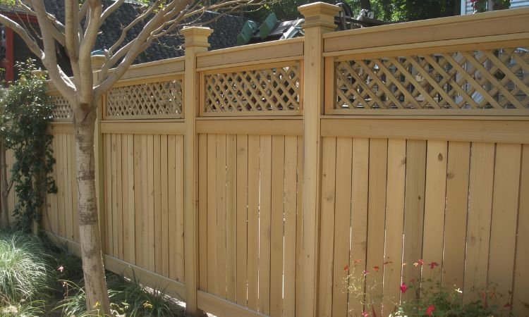 Fence Extension Ideas