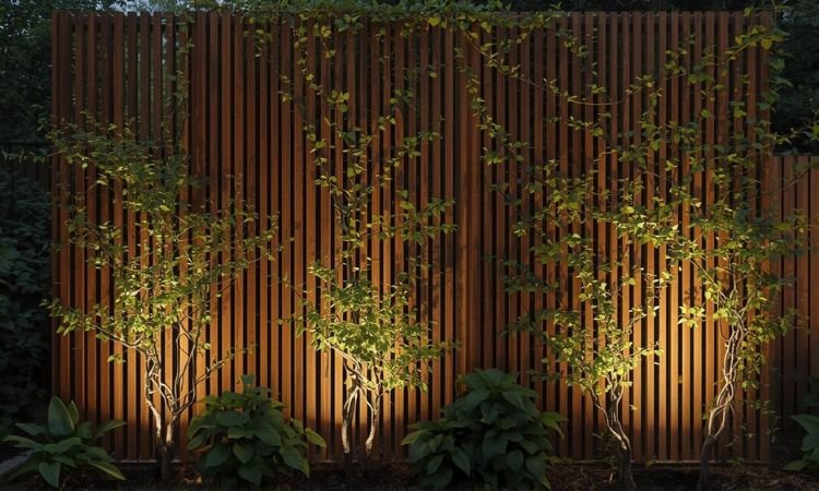 Backyard Privacy Screen Ideas