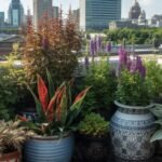 Sun loving plants for containers