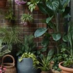 Balcony garden decor ideas
