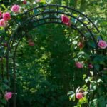 Metal garden trellis