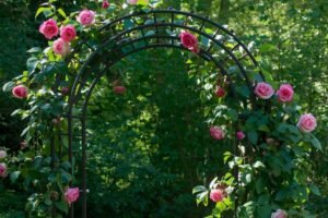 Metal garden trellis