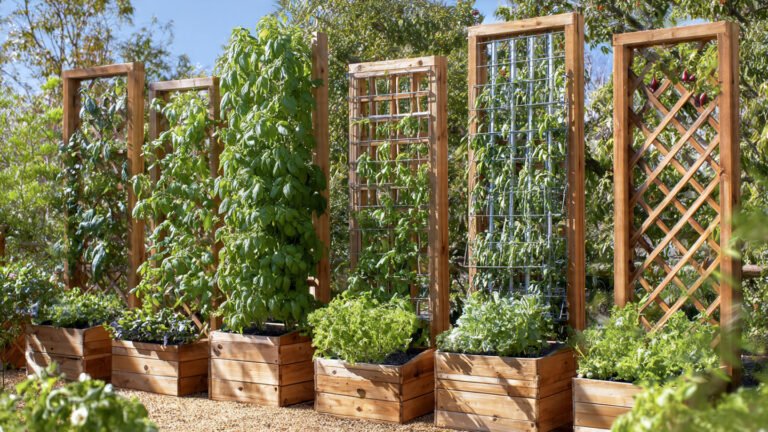 Creative Garden Box Trellis Ideas for Productive Garden Setup